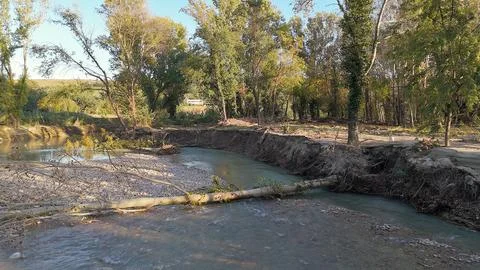 Flood Aftermath, Tree Collapsed in the Riverbed Stock Photos