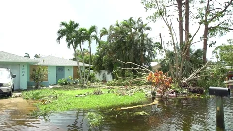 Flood and fallen trees from hurricane Irma in a residential area in Florida, US Stock Footage 81534820