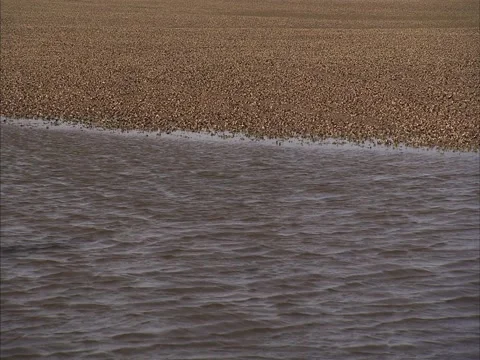 Flood and ground textures Stock Footage 2311257