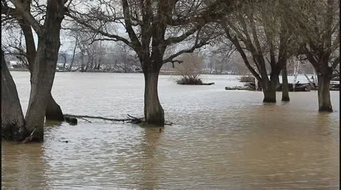 Flood and river Stock Footage 22112798