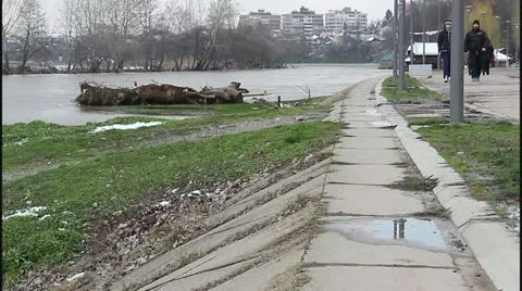 Flood and river Stock Footage 22146408