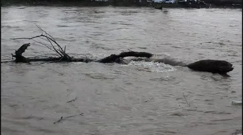 Flood and river Stock Footage 22159380