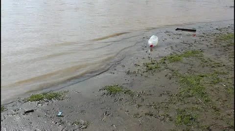 Flood and river Stock Footage 22216632