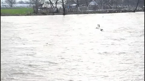 Flood and river Stock Footage 22239381