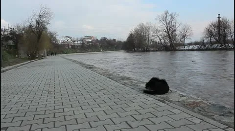 Flood and river Stock Footage 22241805
