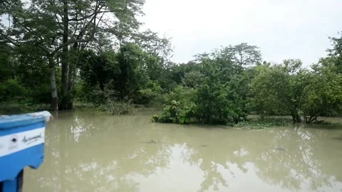 Flood in Assam Video stock 134395954