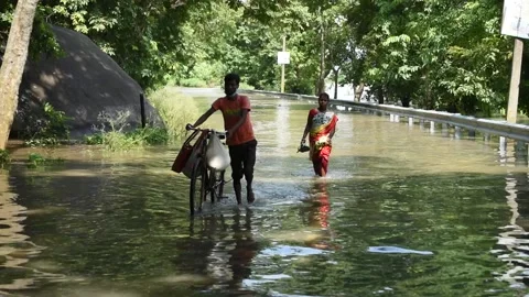 Flood in Assam Video stock 135068890