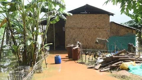 Flood in Assam Video stock 135069327