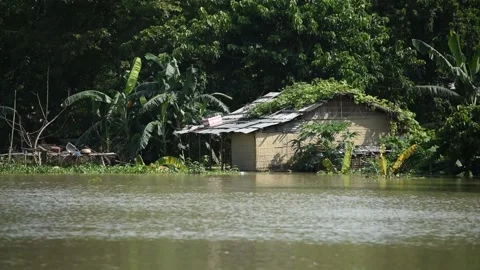 Flood in Assam Video stock 135070326