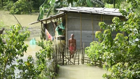 Flood in Assam Video stock 135070552