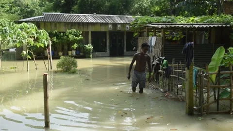 Flood in Assam Video stock 135070821