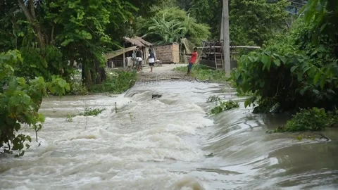 Flood in Assam Stock-Footage 135072268