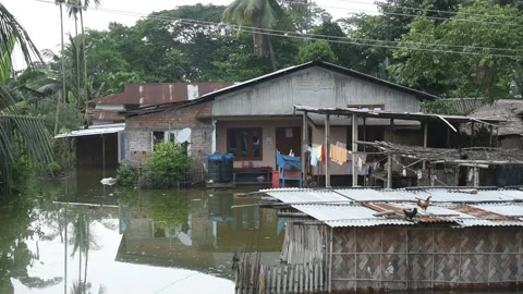 Flood in Assam Video stock 135072277