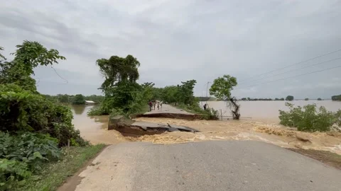 Flood in Assam Video stock 195113493