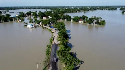 Flood in Assam Video stock 245142279