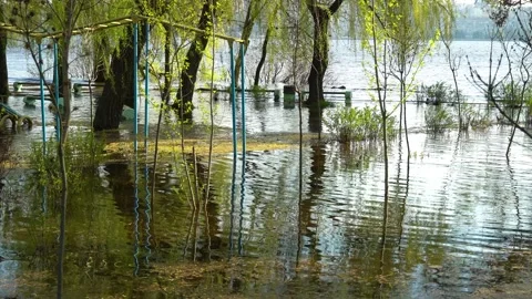 Flood on bank river in spring time. Water filled play and sport grounds in city. Vidéo 239371206
