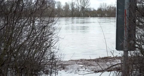 Flood between bushes tilt up 動画素材 147750244