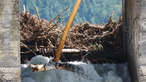 Flood blockages in a river Stock Footage 115125054