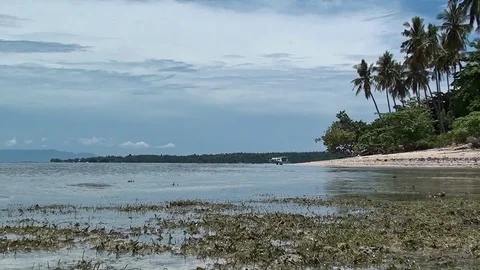 The flood is coming Video stock 104046069