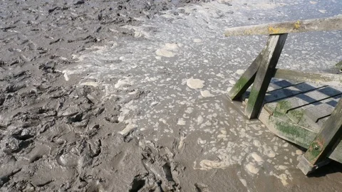 Flood is coming 動画素材 113330673