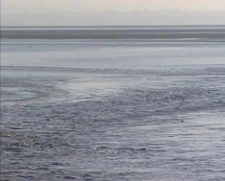 Flood current, incoming tide at tidal bay - full screen Stock Footage 45966180