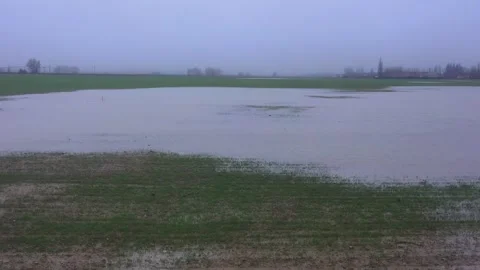 Flood damage causing economic losses and insurance claims Stock Footage 327481055