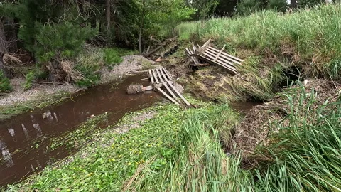 Flood Damage , Gates in the stream Video stock 225221932