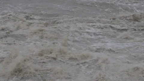 Flood at the danube river Vidéo 136813013