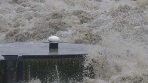 Flood at the danube river Видео 136813034