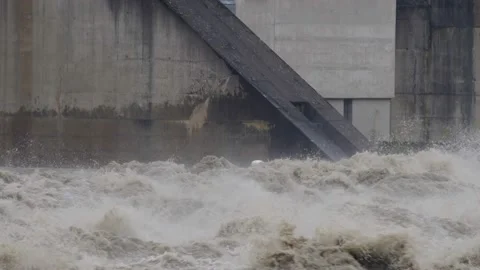 Flood at the danube river Stock Footage 136813575