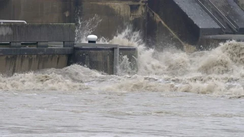 Flood at the danube river Vidéo 136813740