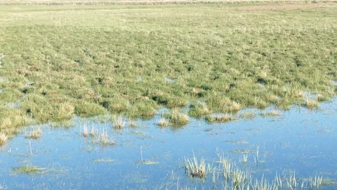 Flood in the field Stock Footage 88053136