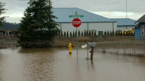 Flood  Stock Footage 842582