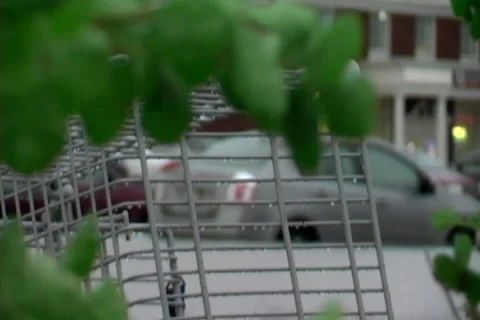 Flood Stock Footage 1075338