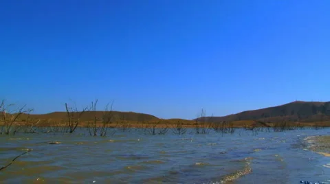 Flood Stock Footage 1463024