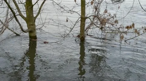 Flood Stock Footage 11132831