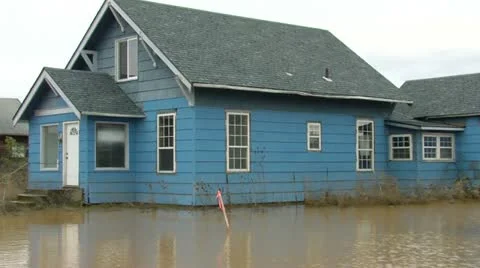 Flood Stock-Footage 11635297