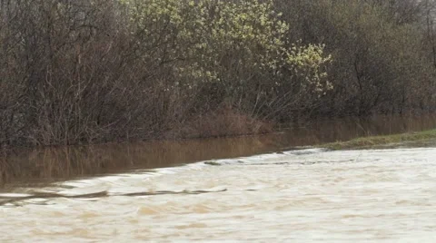 Flood Stock Footage 51701813