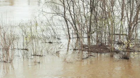 Flood Stock Footage 51702062