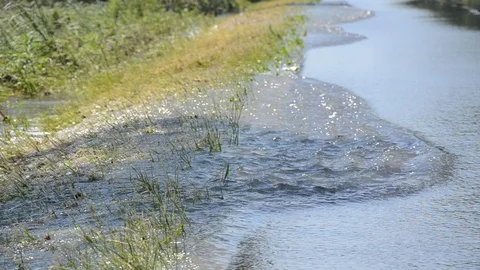 Flood 動画素材 88869590