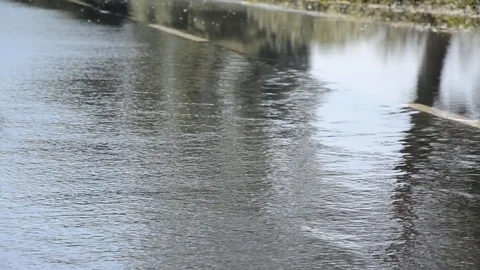 Flood Stock Footage 98592398