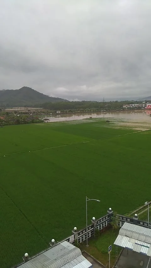 Flood Video stock 218265886