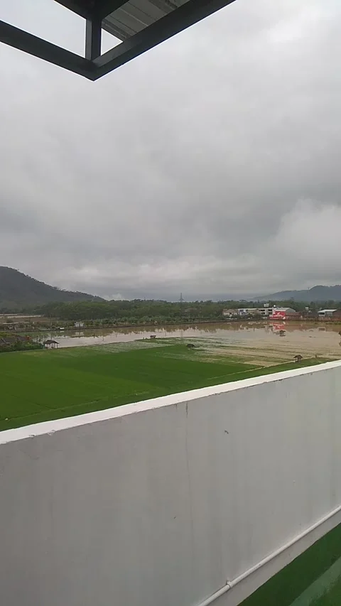 Flood Video stock 218266168