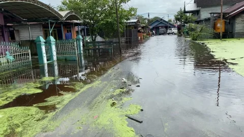 Flood 库存影片 219480626