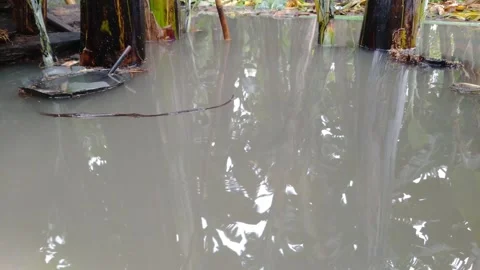 Flood Stock Footage 233957393