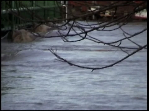 Flood Footage Stock Footage 140050941