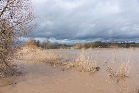 Flood generated by a small river Stock Photos