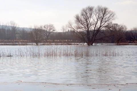 Flood in Germany Stock Photos