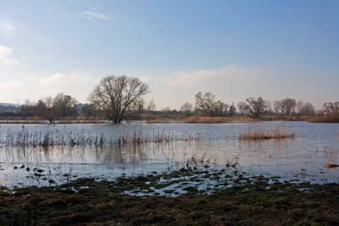 Flood in Germany Stock Photos