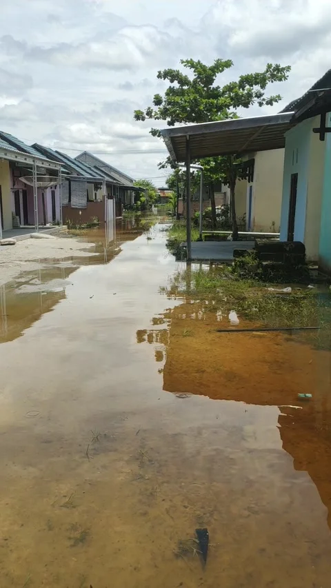 Flood Housing Video stock 211001600